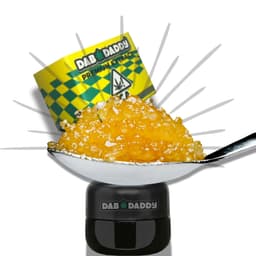 Bubble Gum Caviar Dab Daddy® 1g
