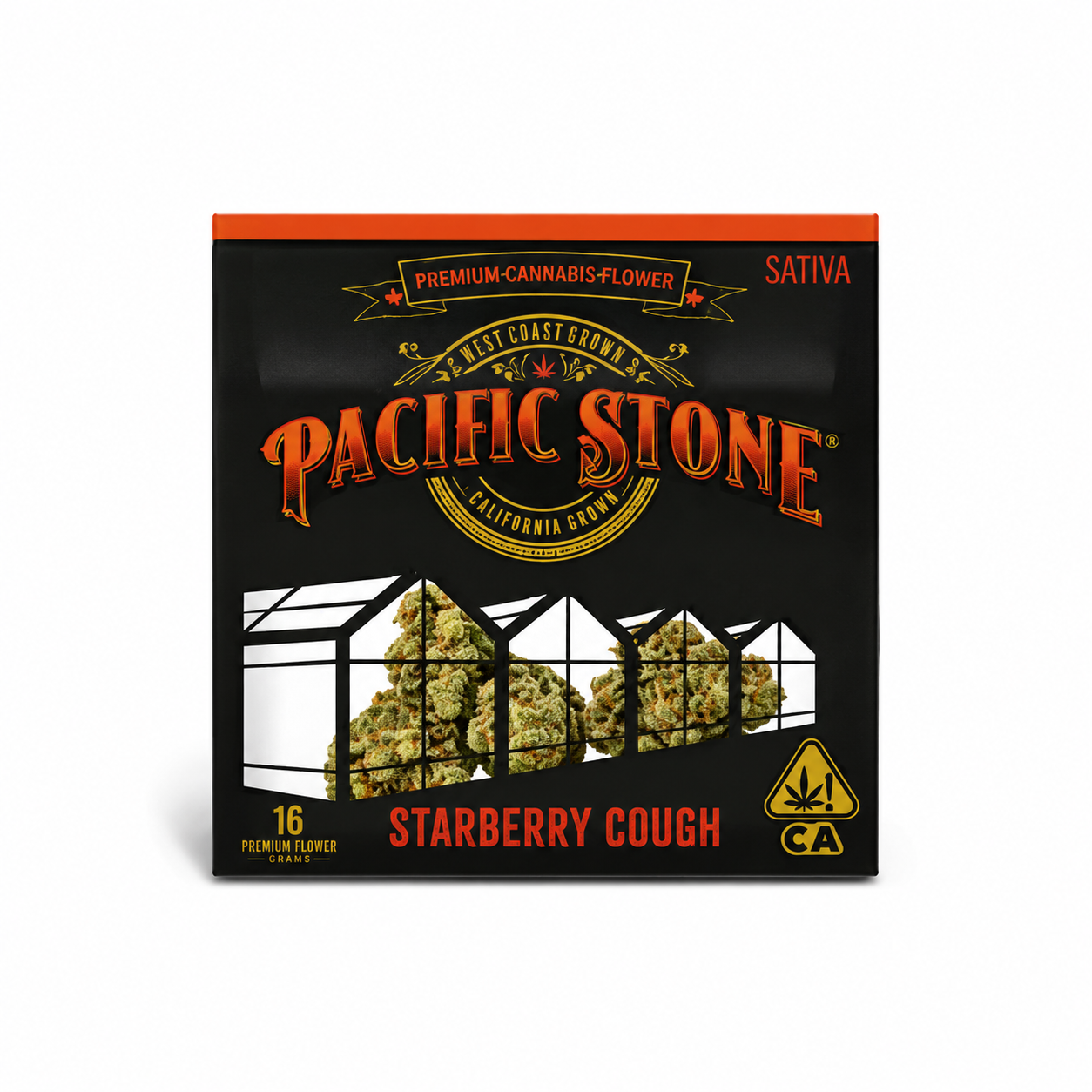 Pacific Stone | Starberry Cough | Big Buds | 1g